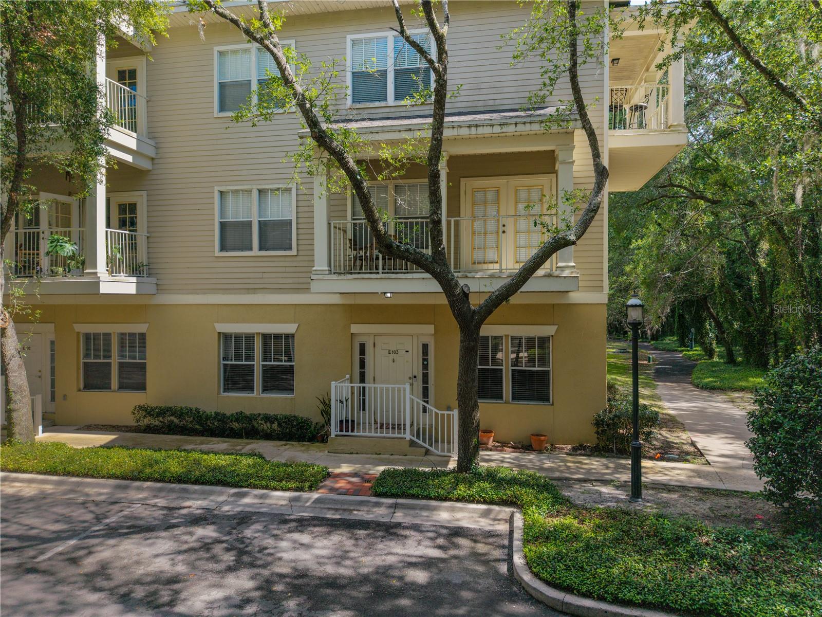 THE VILLAGE AT HAILE - Residential