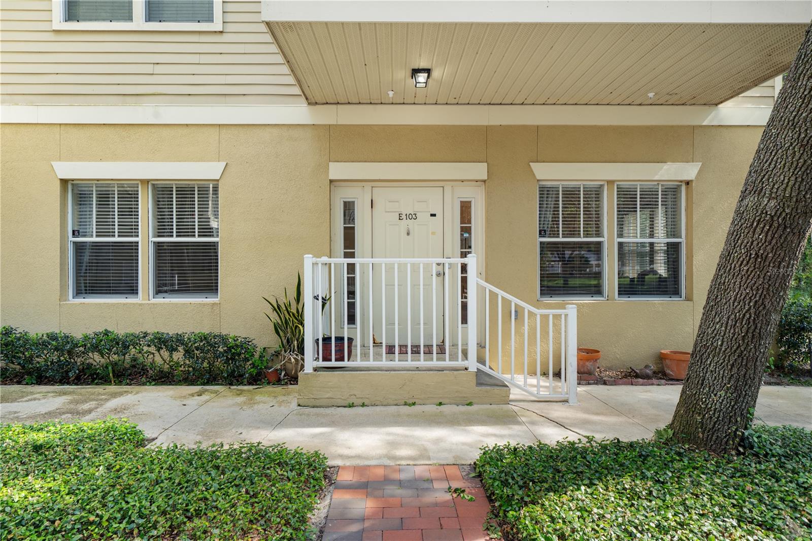 THE VILLAGE AT HAILE - Residential