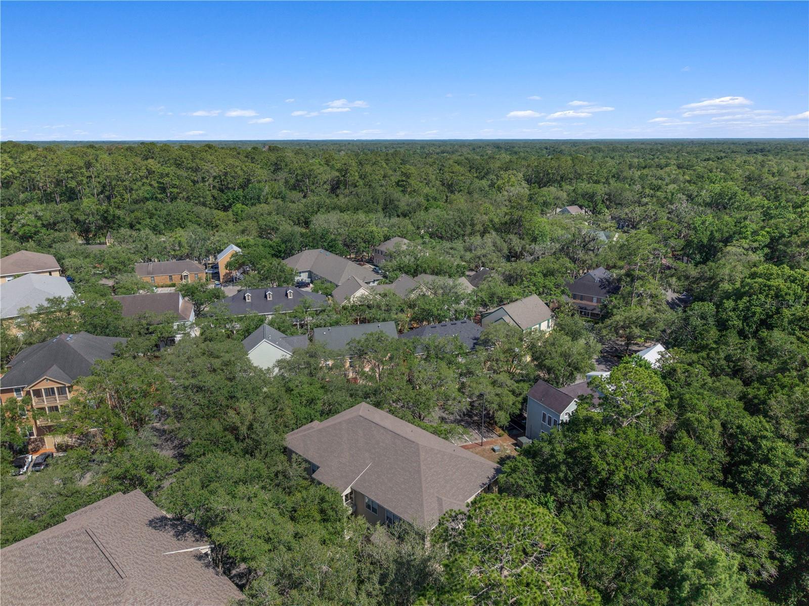 THE VILLAGE AT HAILE - Residential