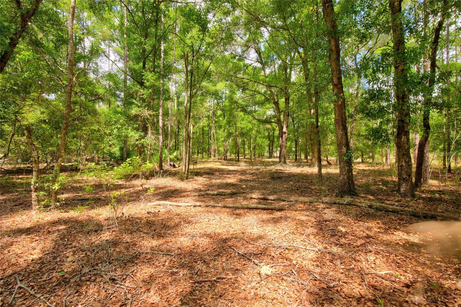 APPALOOSA TRAILS SUB - Residential