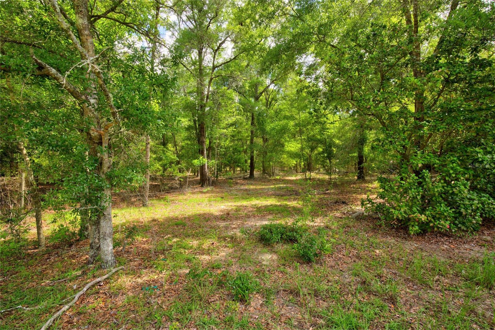 APPALOOSA TRAILS SUB - Residential