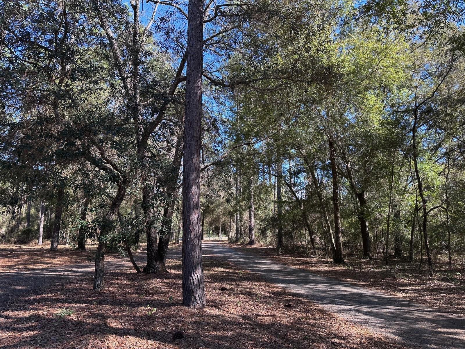 WOODLAND ACRES SUB - Residential