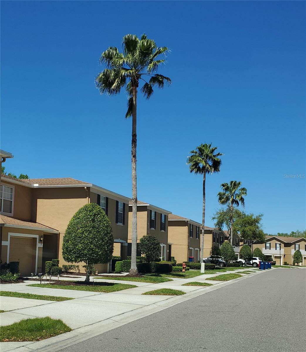 EDGEWATER AT GRAND OAKS PH 02 - Residential