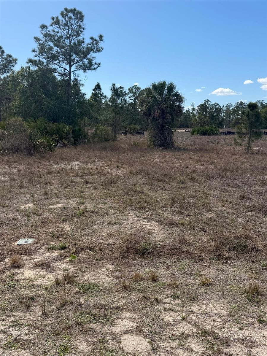LEHIGH ACRES - Land