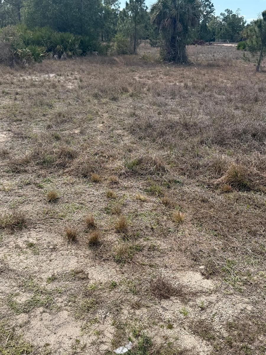 LEHIGH ACRES - Land