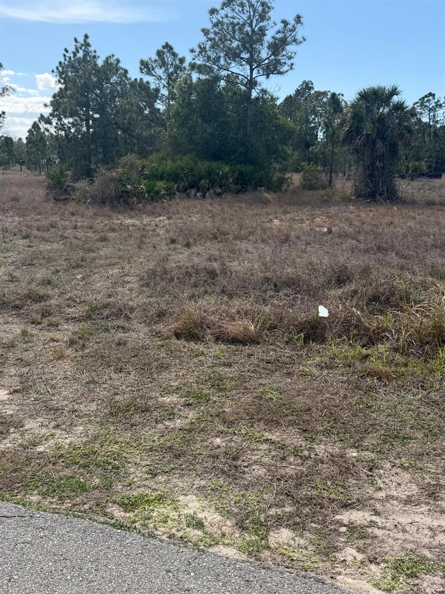 LEHIGH ACRES - Land