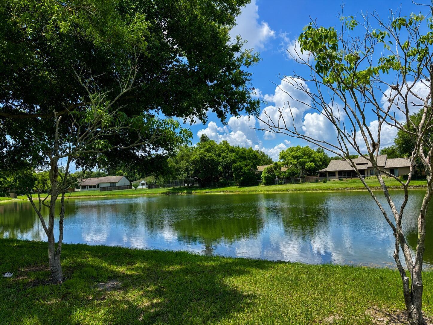 ORANGE TREE COUNTRY CLUB - Residential
