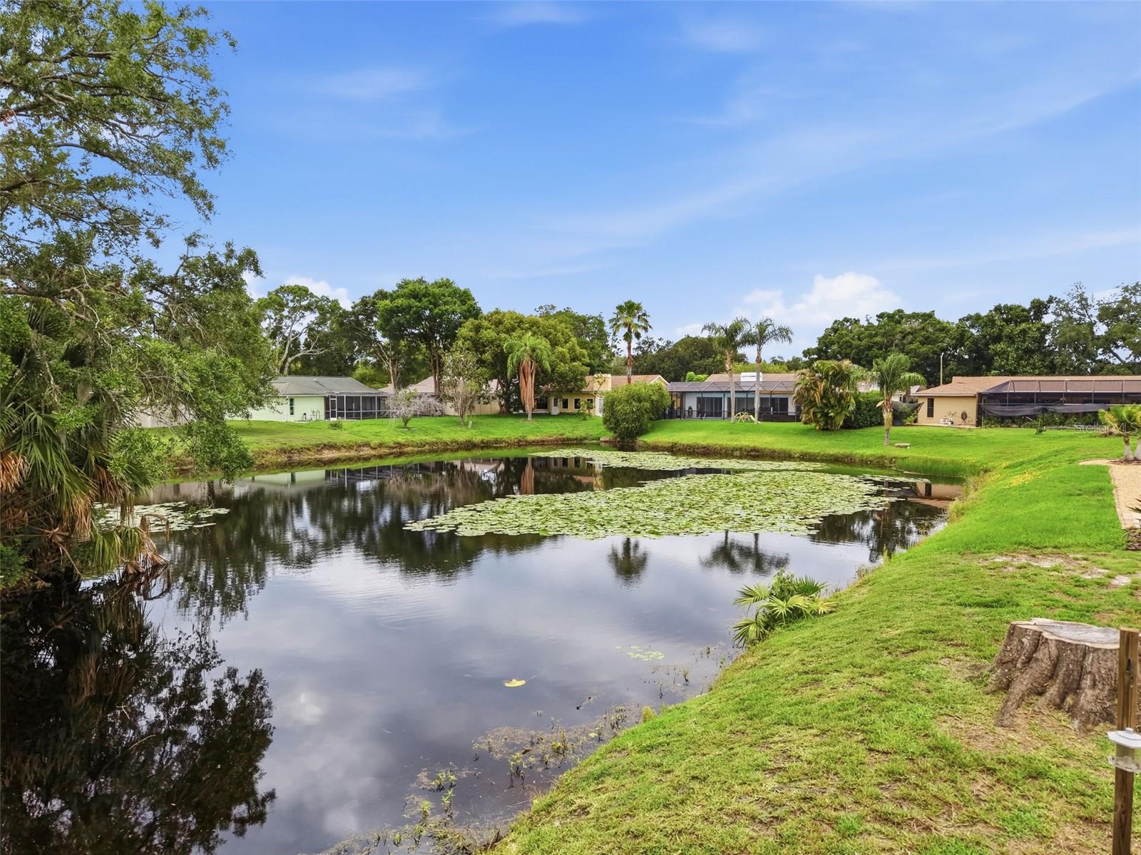 FAIRWAY SPRINGS - Residential