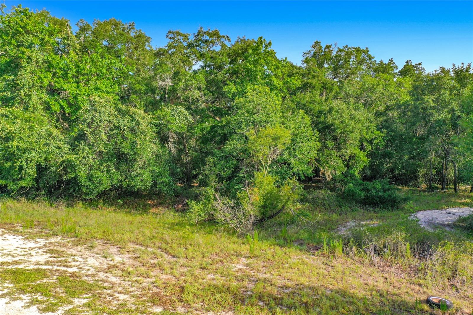 RIDGE MANOR ESTATE - Land