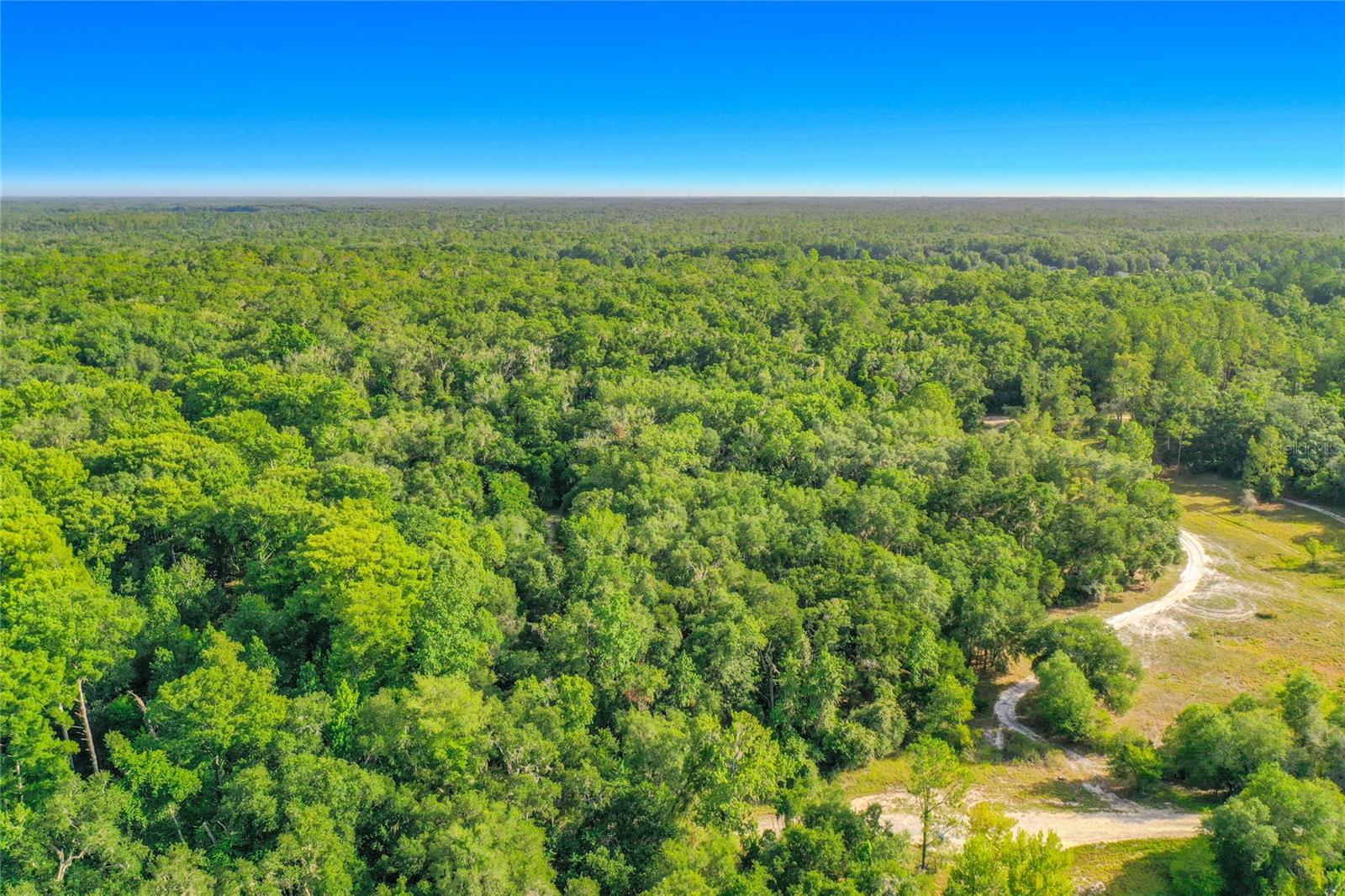 RIDGE MANOR ESTATE - Land