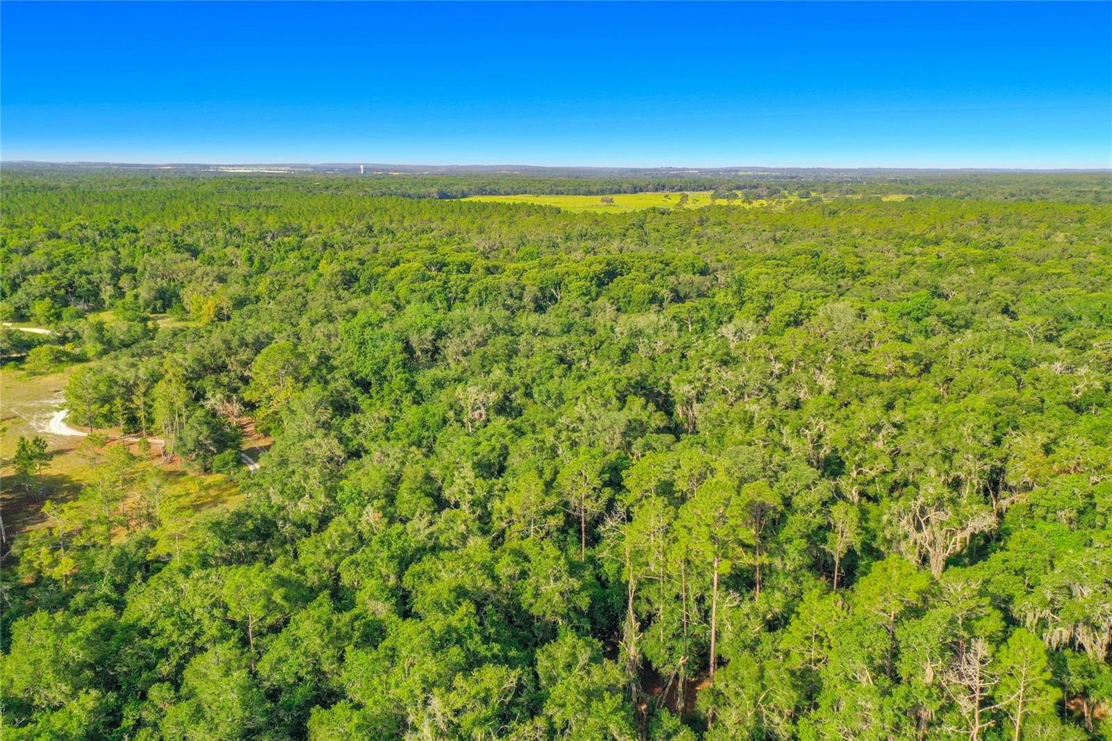 RIDGE MANOR ESTATE - Land