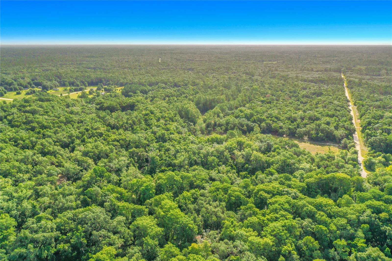 RIDGE MANOR ESTATE - Land