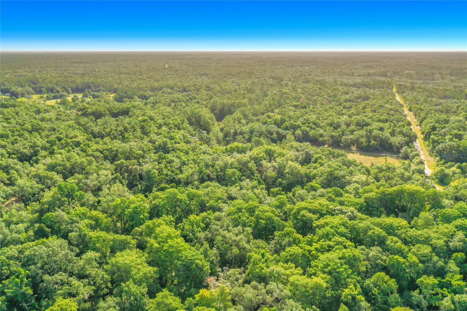 RIDGE MANOR ESTATE - Land