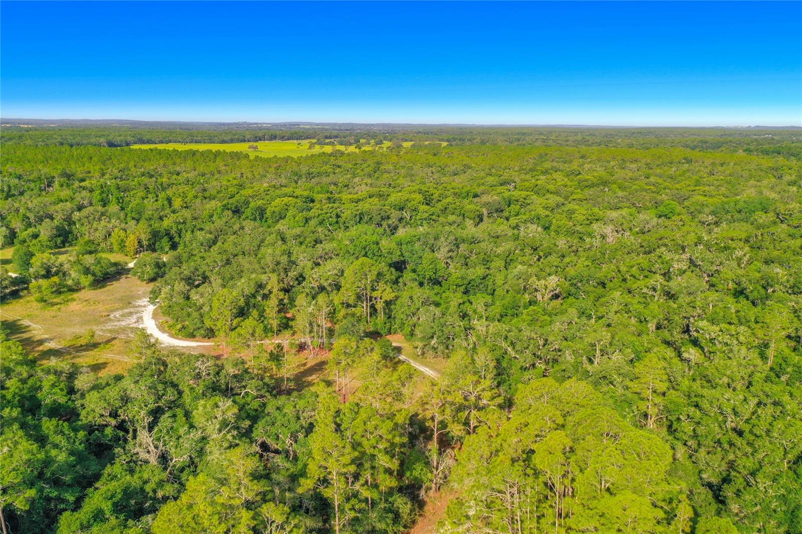 RIDGE MANOR ESTATE - Land