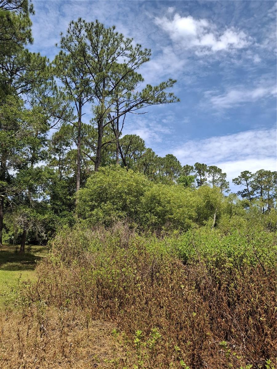 DELTONA LAKES UNIT 11 - Land