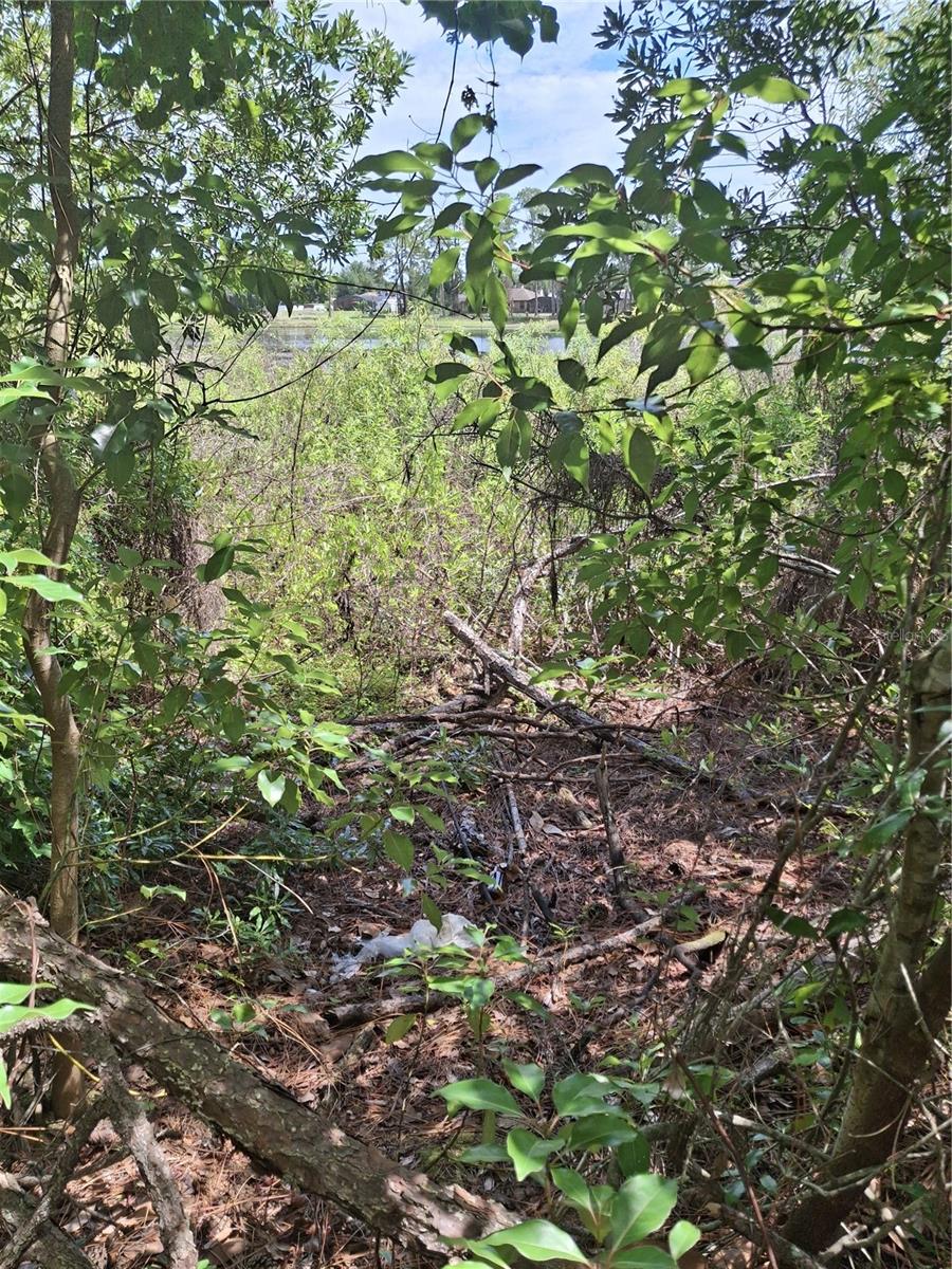 DELTONA LAKES UNIT 11 - Land