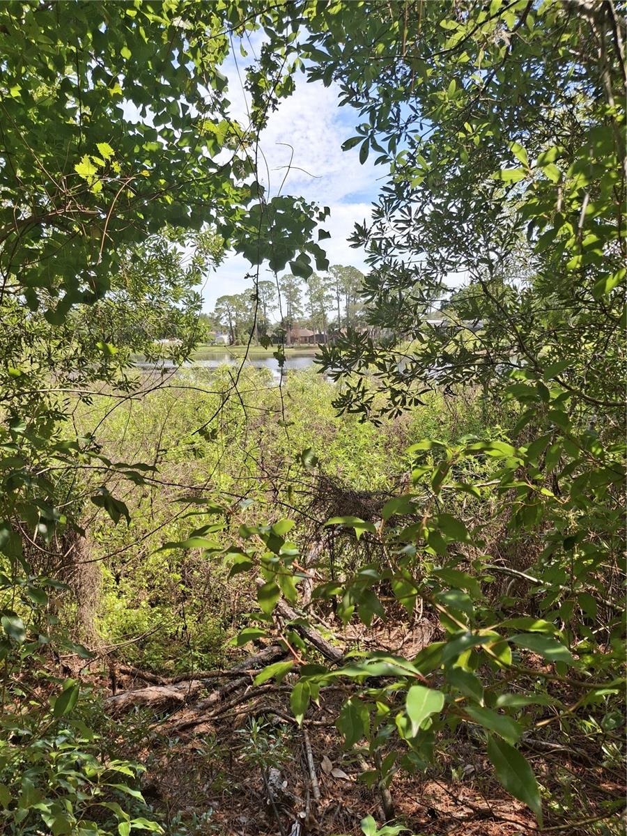 DELTONA LAKES UNIT 11 - Land