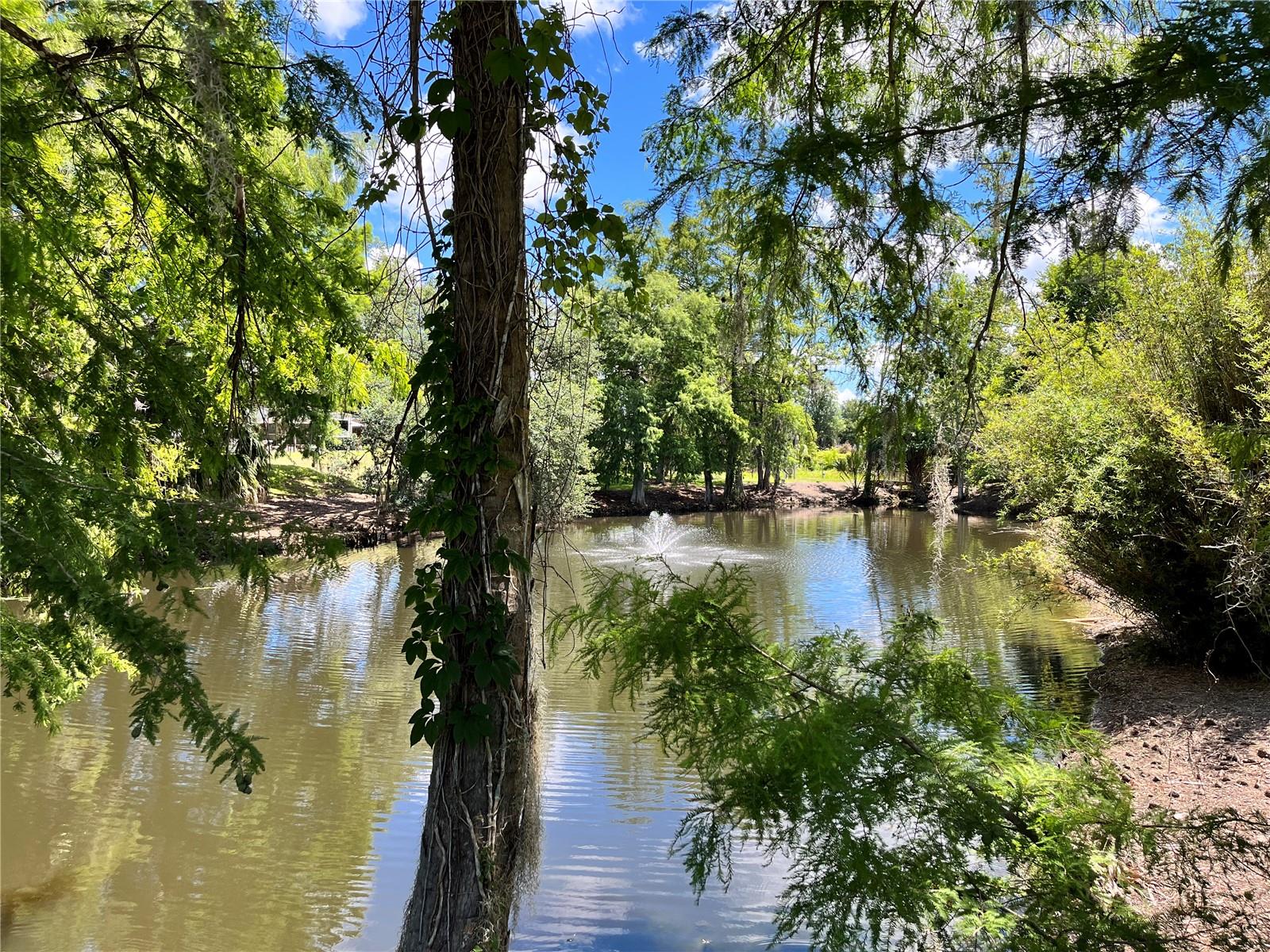 VILLAGE PARK AT THE WILDERNESS RV PARK ESTATES - Land