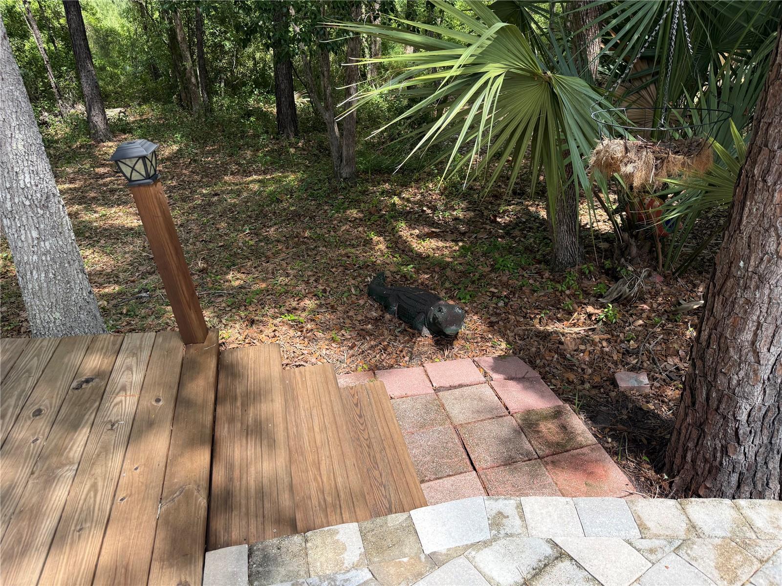 VILLAGE PARK AT THE WILDERNESS RV PARK ESTATES - Land