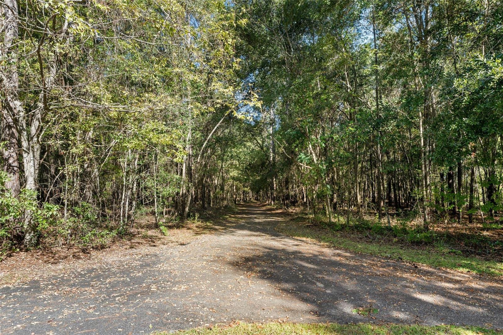 DYLANS GROVE PH 1 - Land