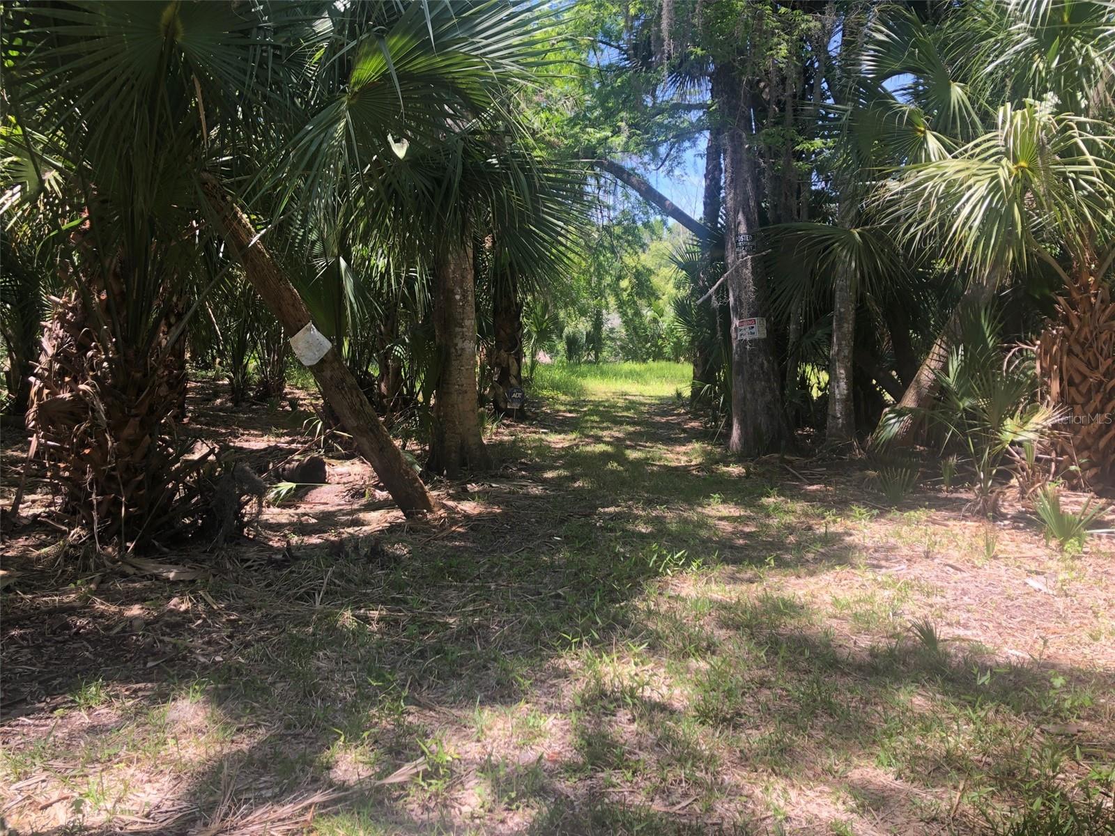 WEKIVA HIGHLANDS - Land