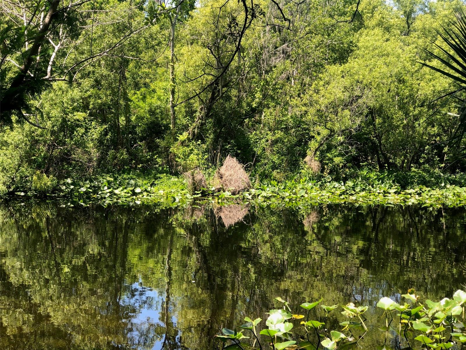 WEKIVA HIGHLANDS - Land
