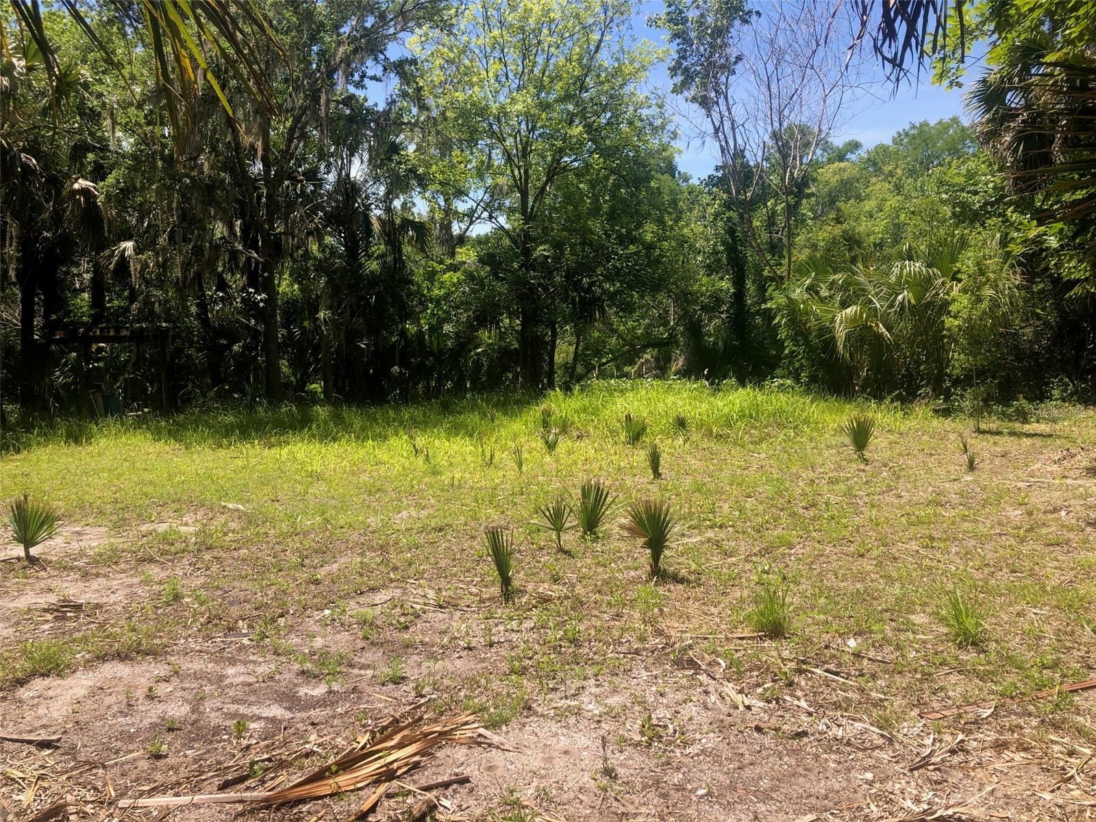 WEKIVA HIGHLANDS - Land