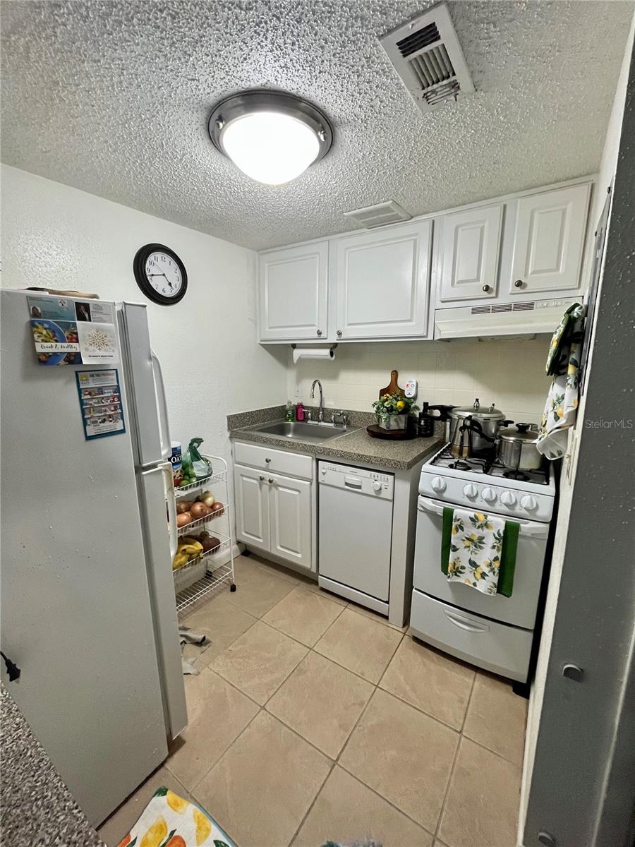 WATERSIDE AT CRANES ROOST A CONDO COMMUNITY - Residential