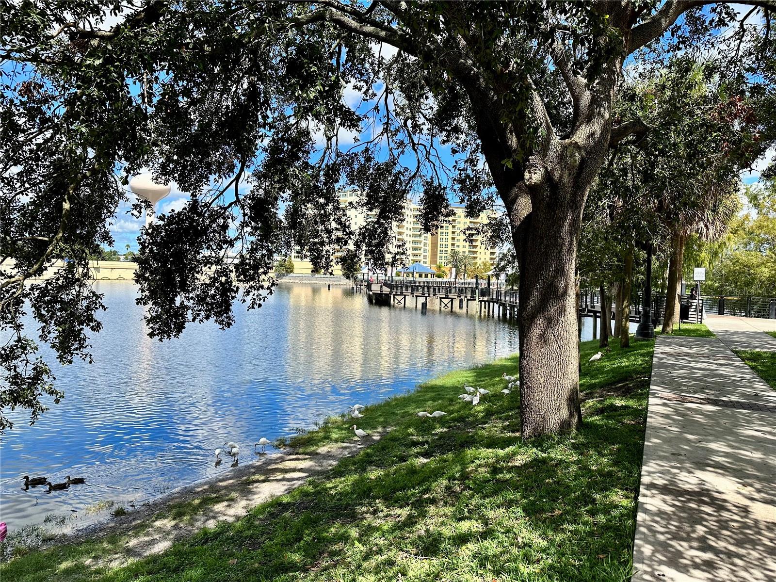 WATERSIDE AT CRANES ROOST A CONDO COMMUNITY - Residential