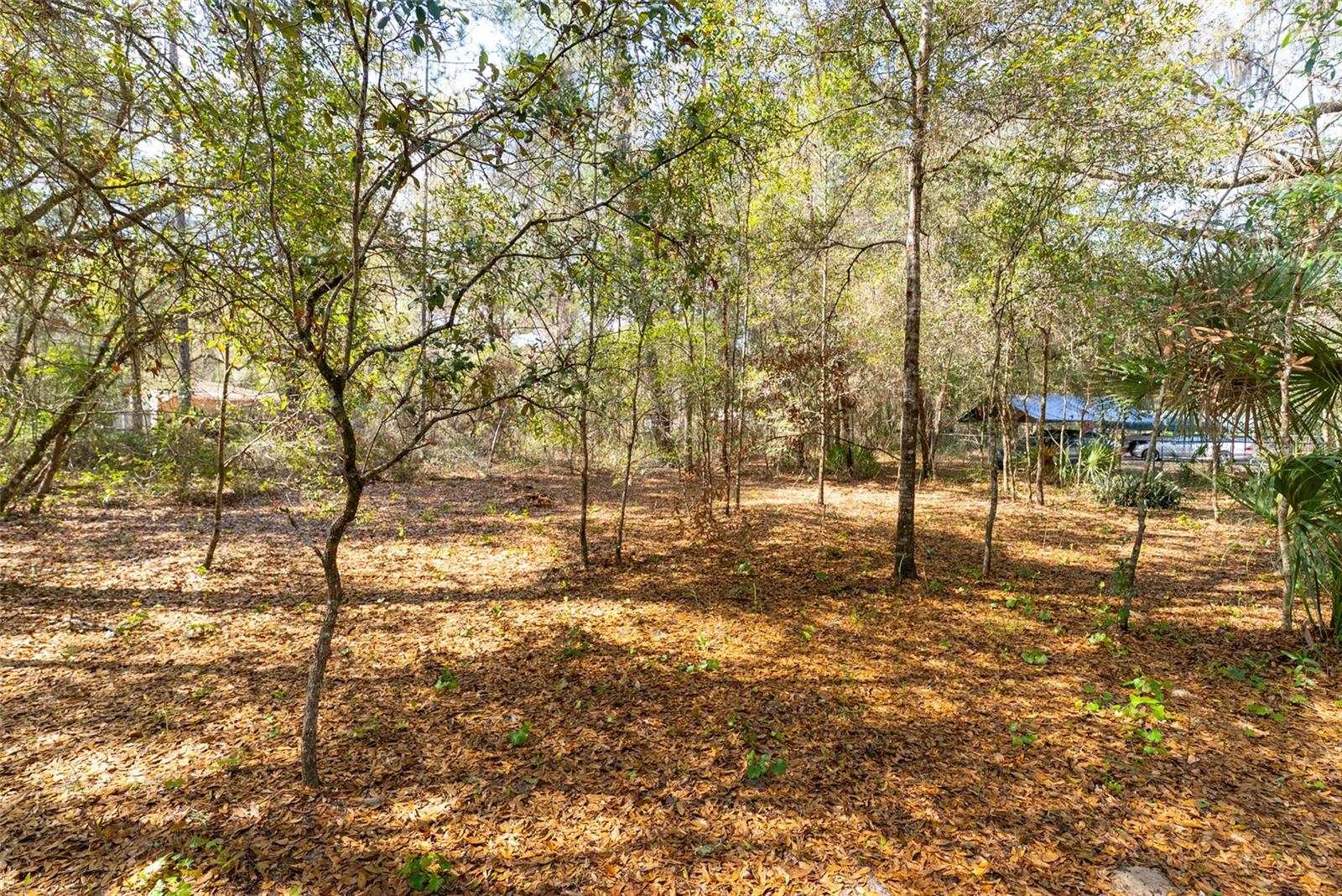 EUREKA SHORES - Residential