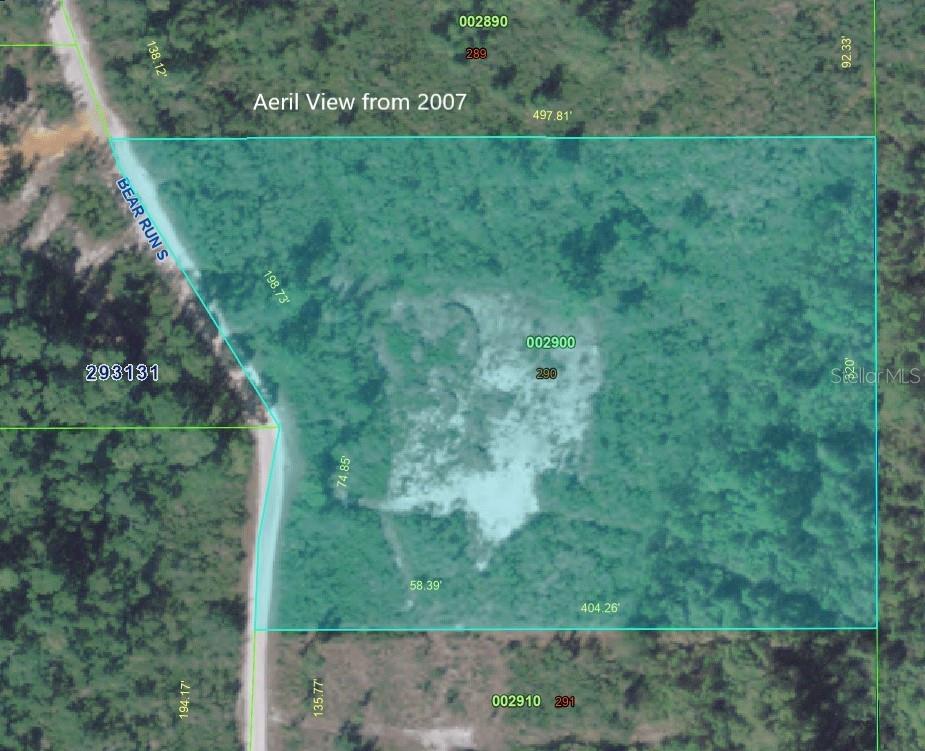 BLUE JORDAN FOREST - Land