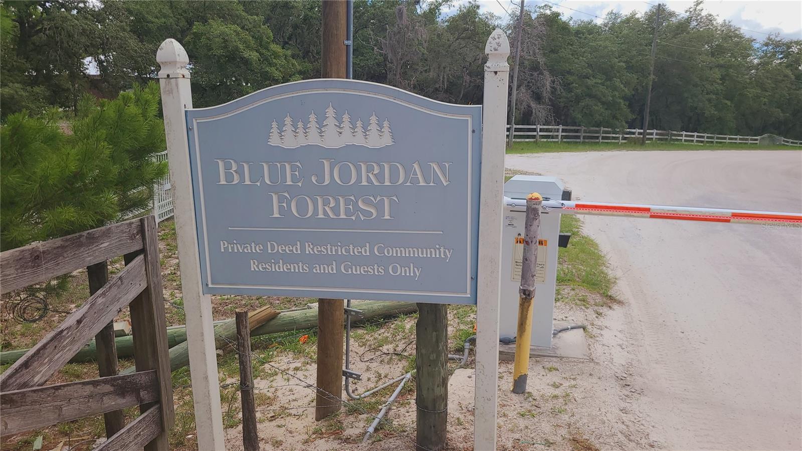 BLUE JORDAN FOREST - Land