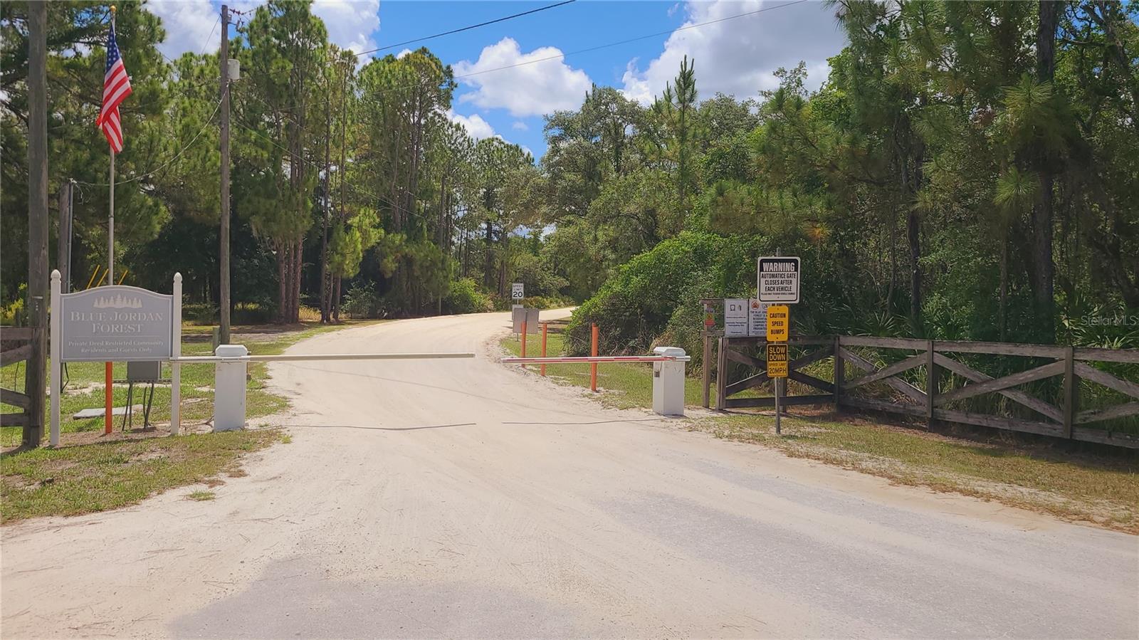 BLUE JORDAN FOREST - Land