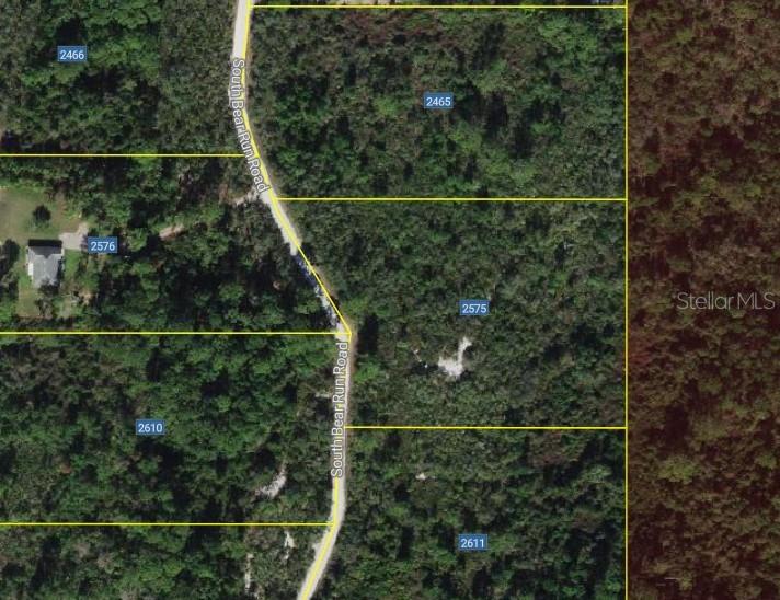 BLUE JORDAN FOREST - Land
