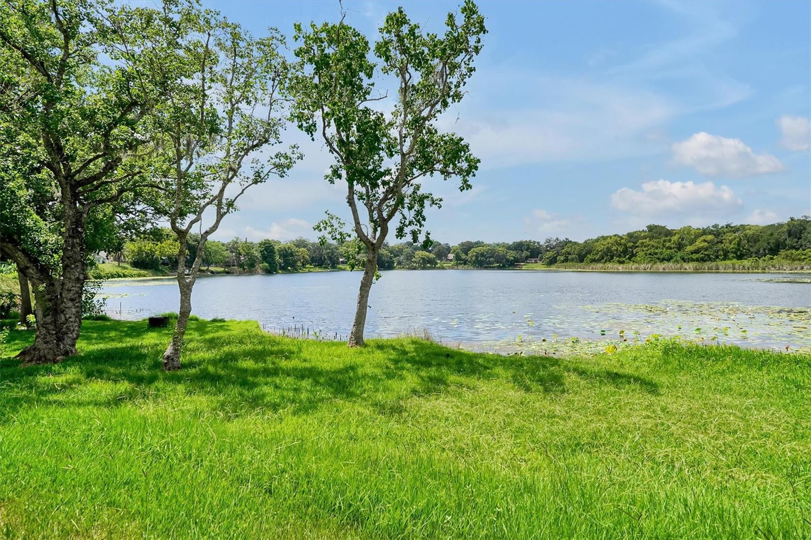 PIEDMONT LAKES PH 01 - Residential