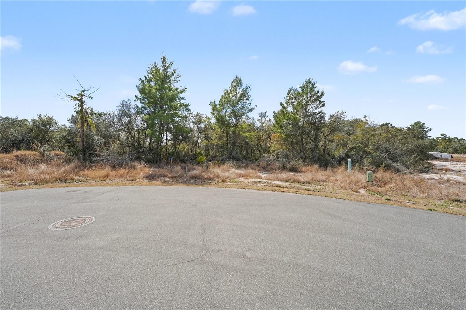 POINCIANA NBRHD 02 WEST VILLAGE 07 - Land