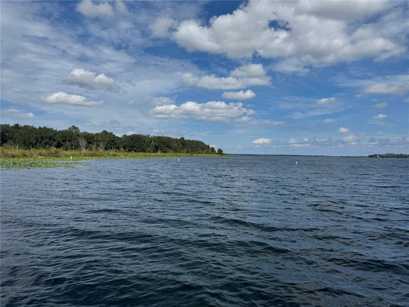 FOREST LAKE - Land