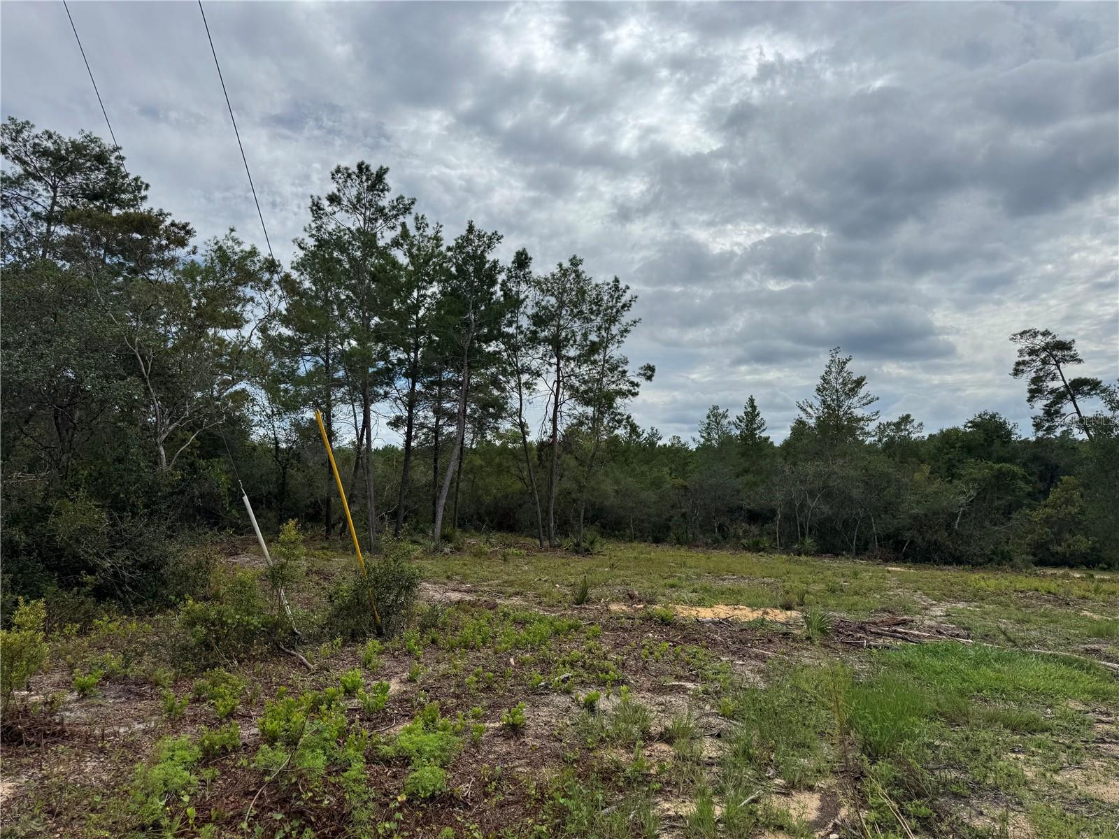 FOREST LAKE - Land