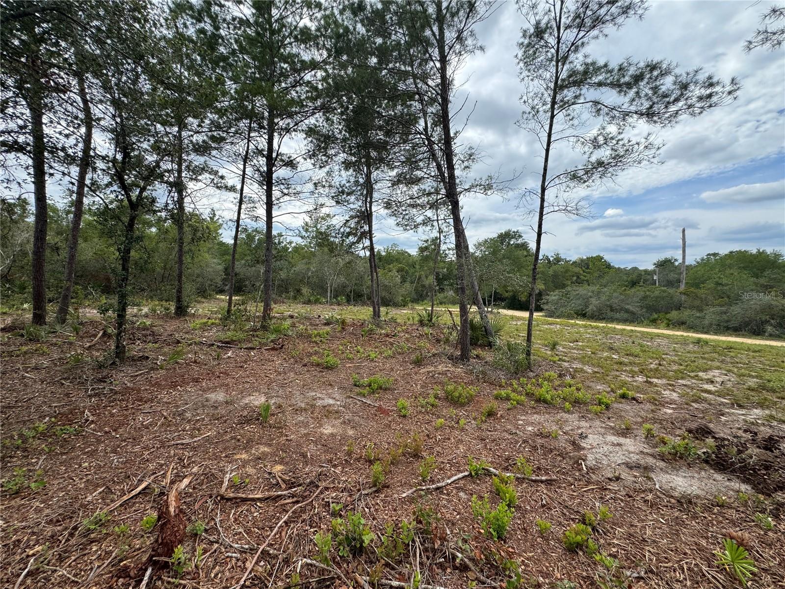 FOREST LAKE - Land