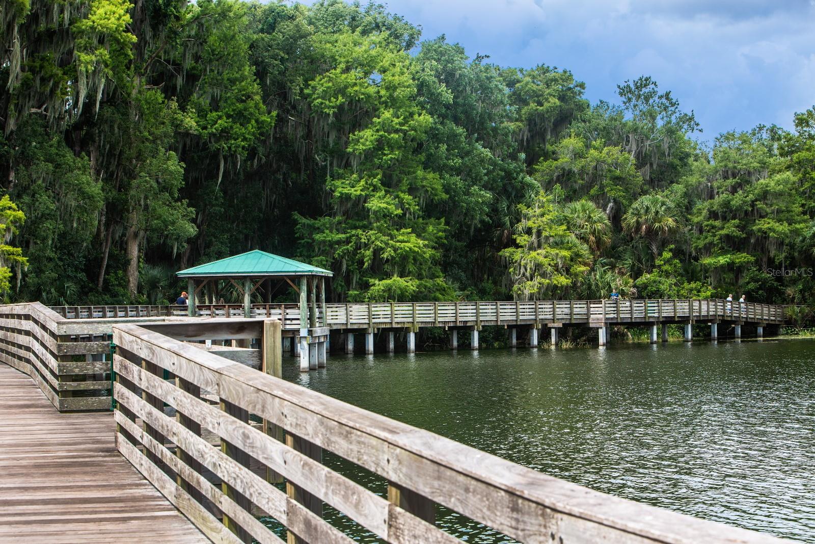 MOUNT DORA - Residential Lease