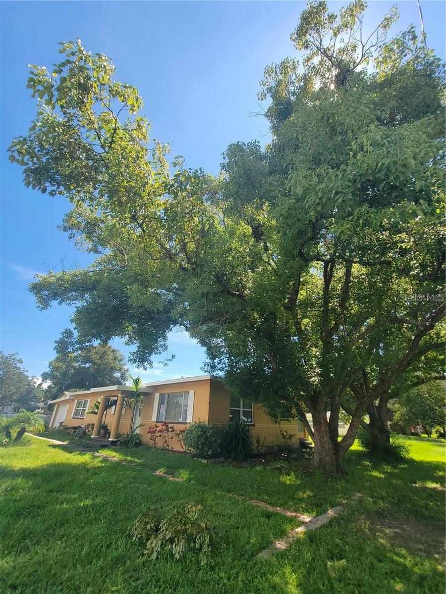 PASADENA HEIGHTS - Residential