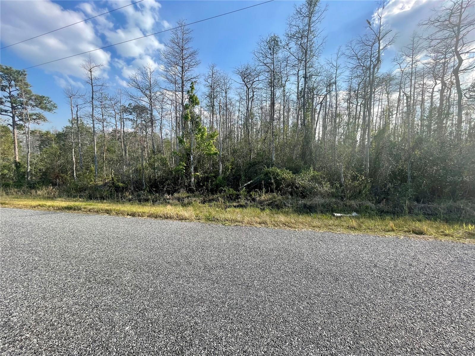 CANAVERAL ACRES UNIT 02 - Land
