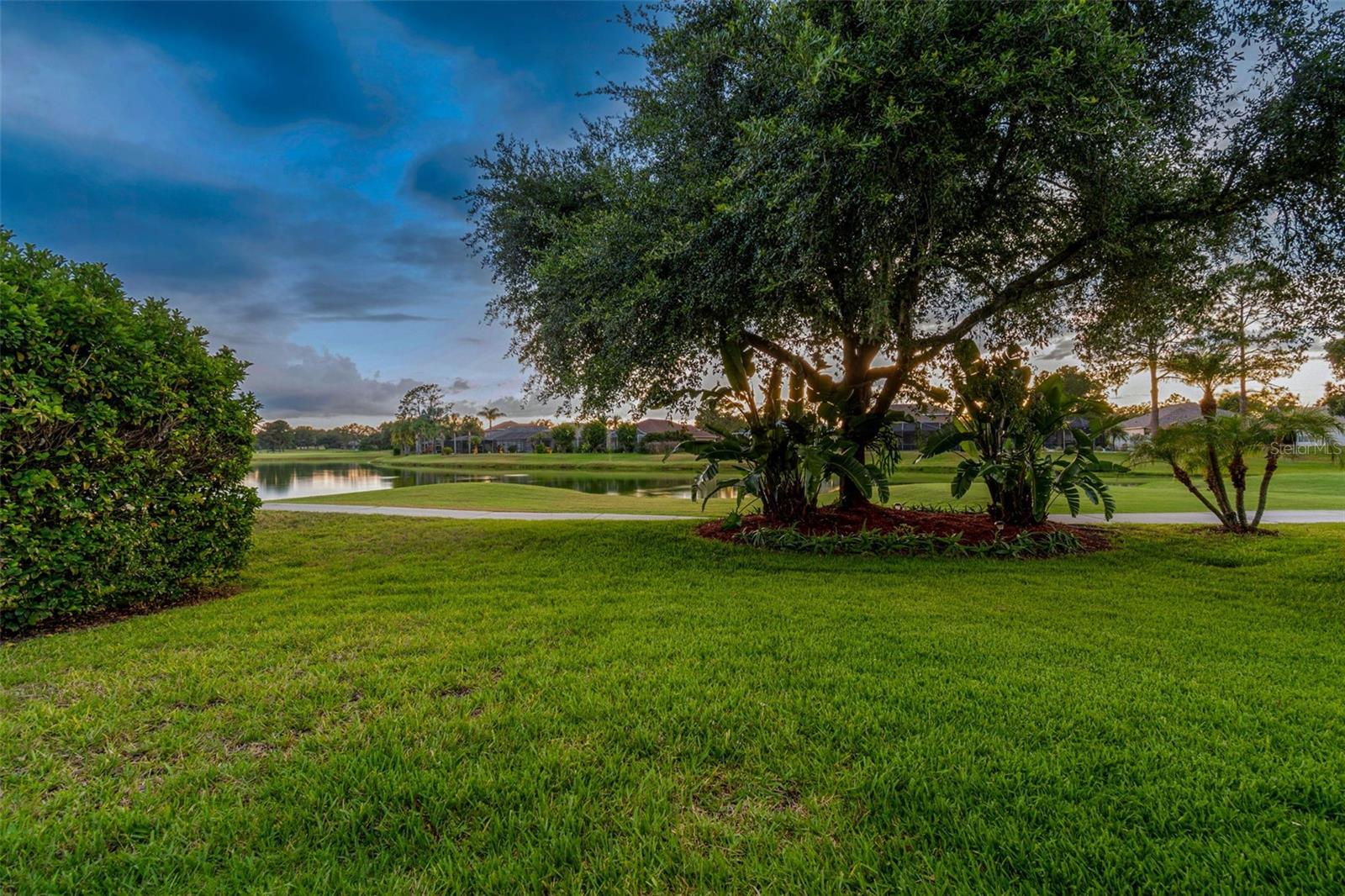 PLANTATION PALMS PH 06 - Residential