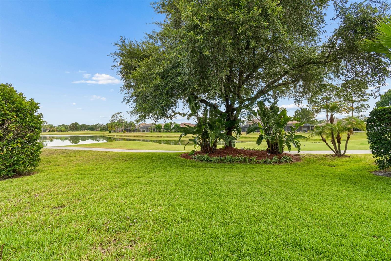 PLANTATION PALMS PH 06 - Residential