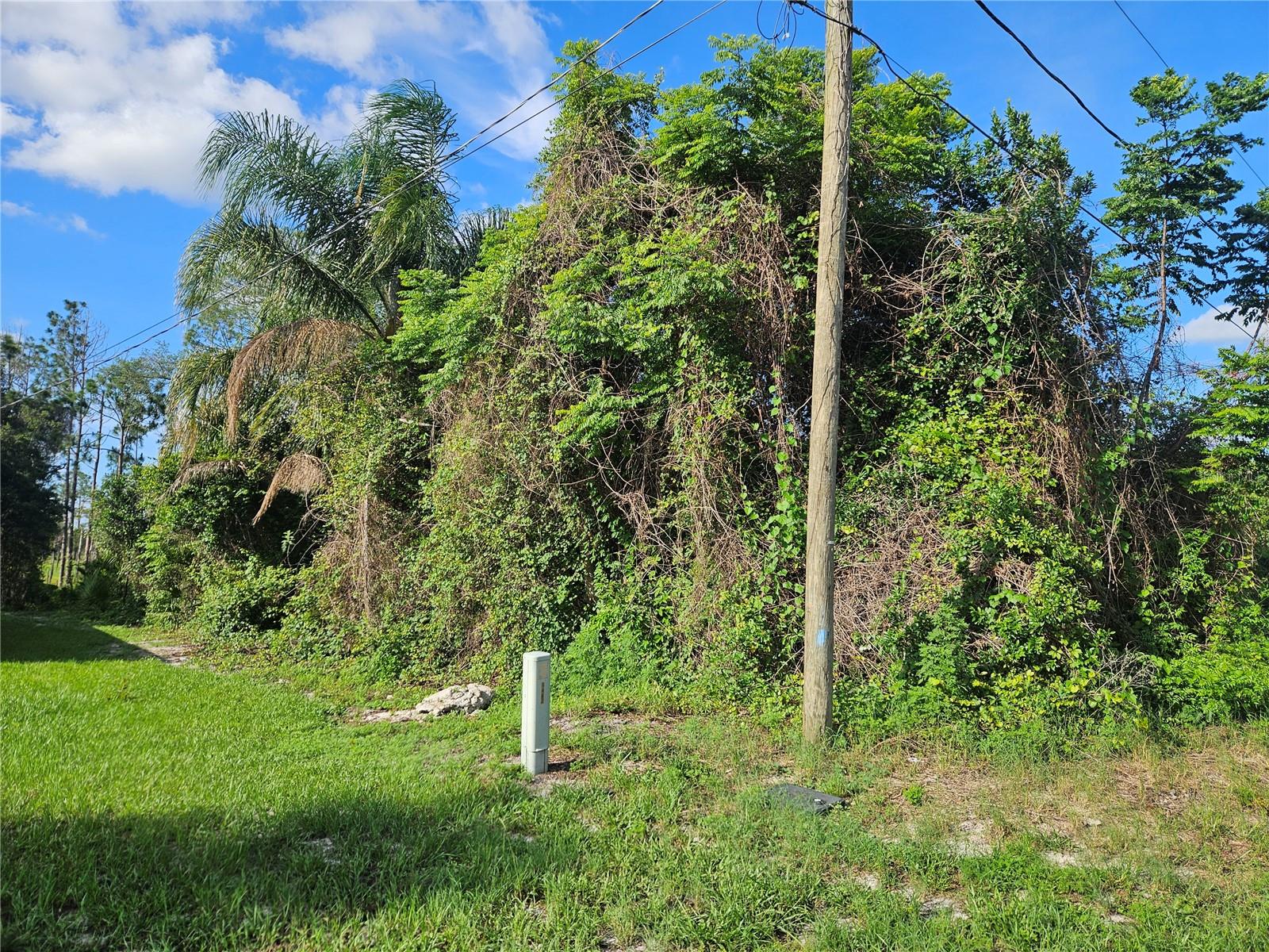 DELTONA LAKES UNIT 53 - Land