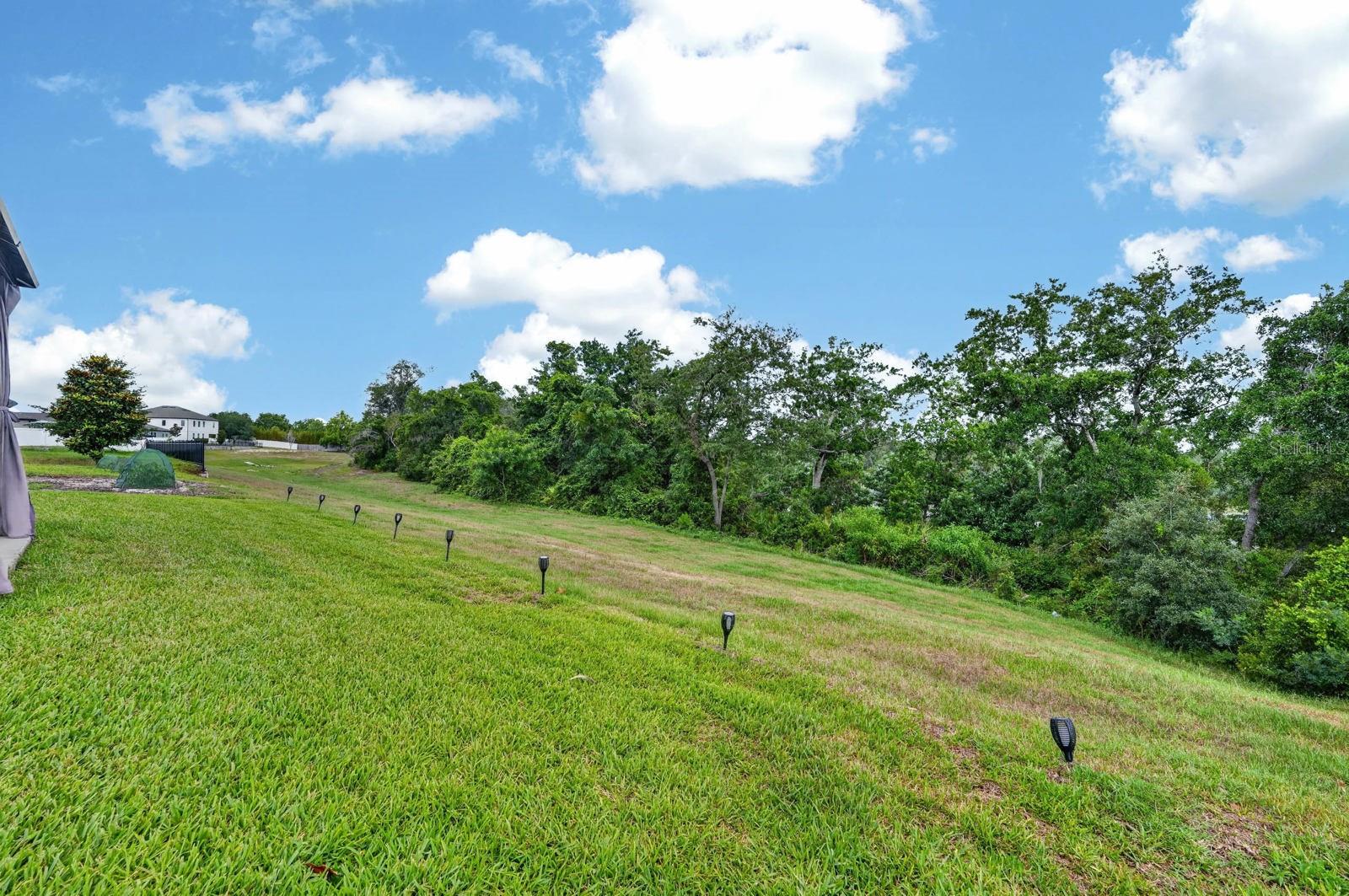 HAMPTON OAKS - Residential