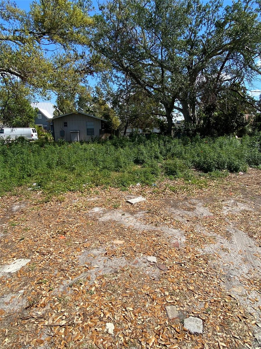 WILLIS ADD TO PALMETTO CONTINUED - Land
