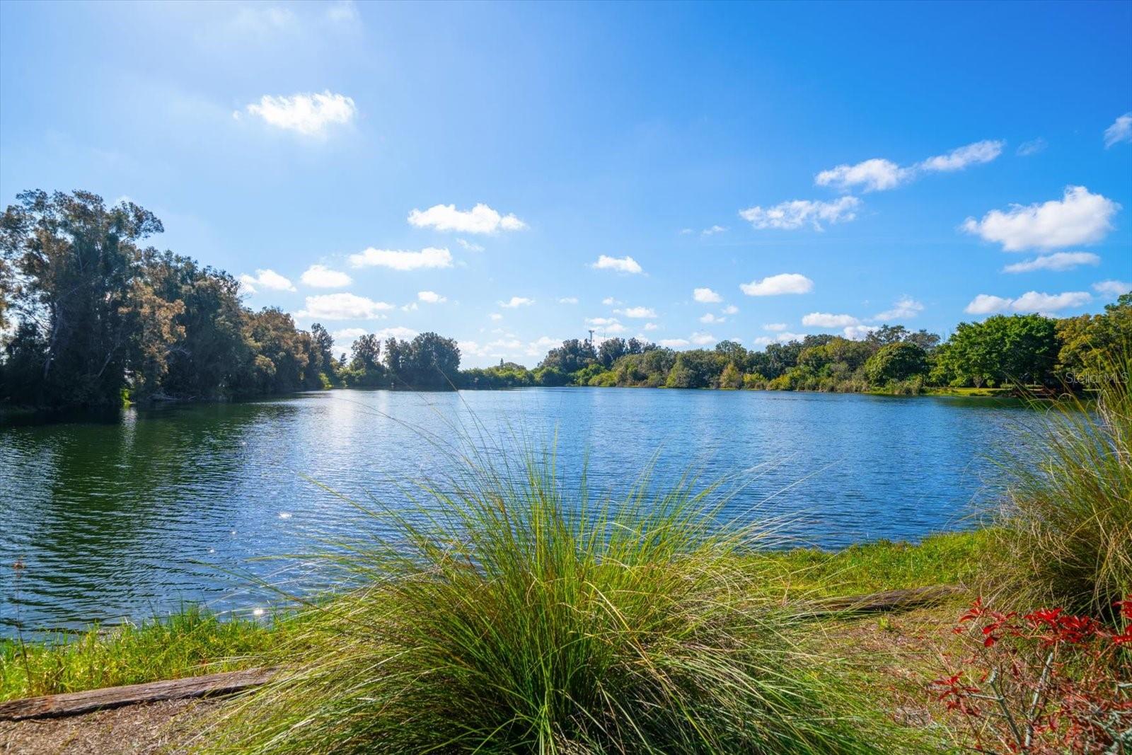 PINELLAS GROVES - Residential