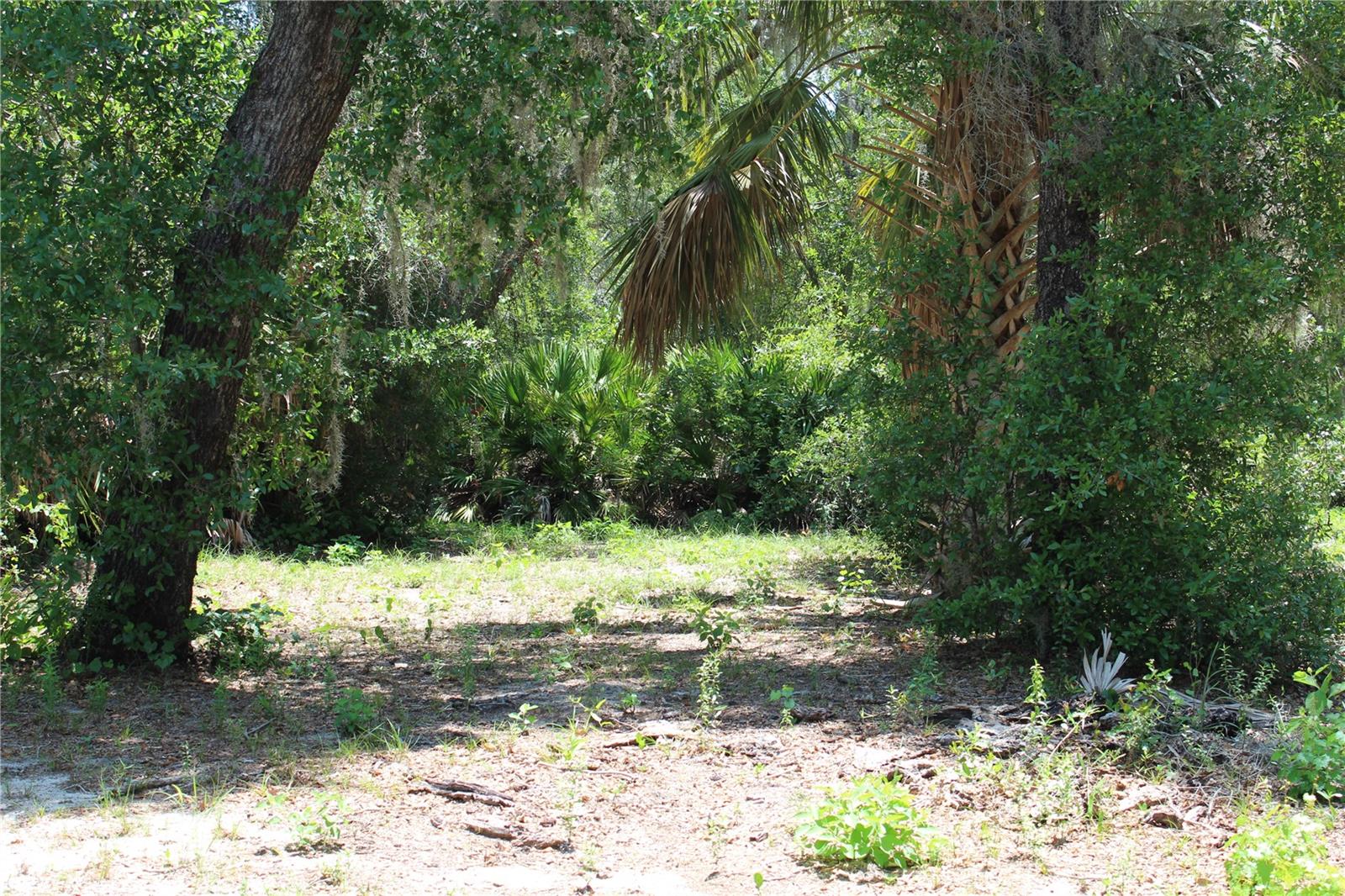 CLEARWATER RESERVE - Land