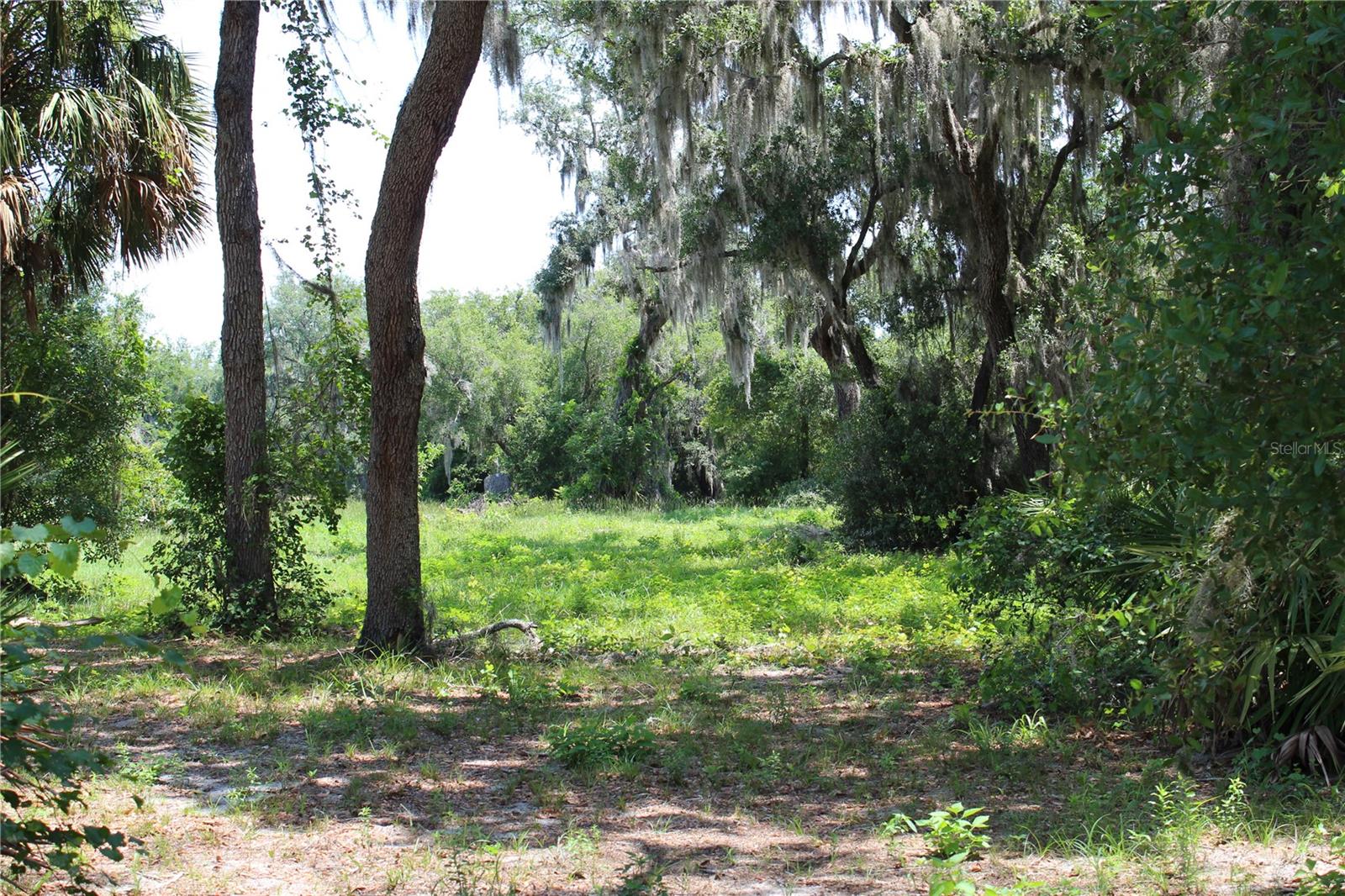 CLEARWATER RESERVE - Land